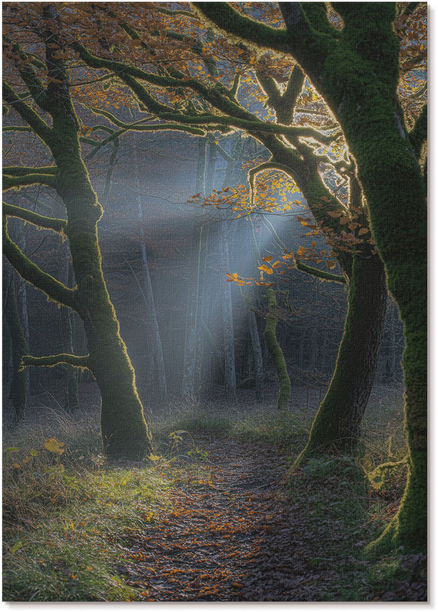 Tulup Polycanvas Poster - Herfstbos, Fotografie - A4 - Groen Wanddecoratie - Rechthoek - Muurdecoratie - Woonkamer, Slaapkamer, Kantoor - Klassiek