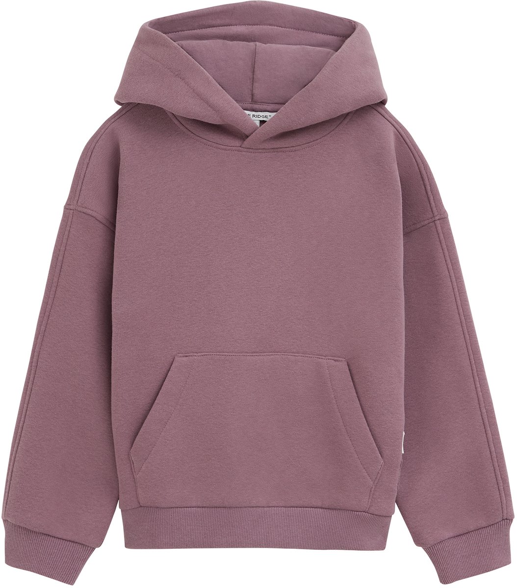 WE Fashion Jongens relaxed fit hoodie