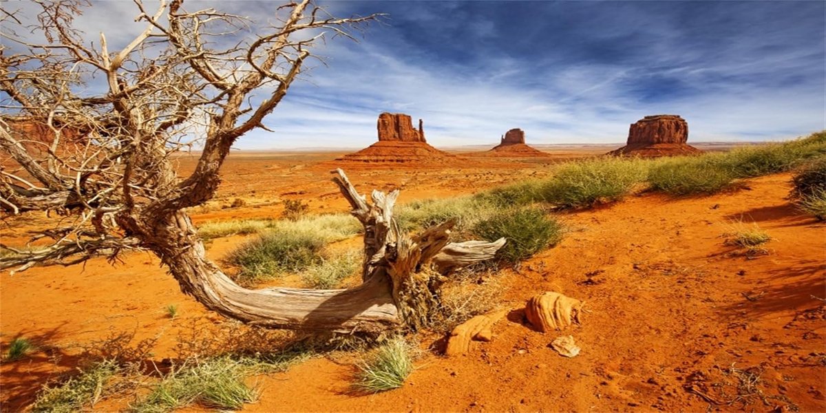 76x30cm Reptile Habitat Background Orange Desert Terrarium Background Vinyl Background - ShopVlot