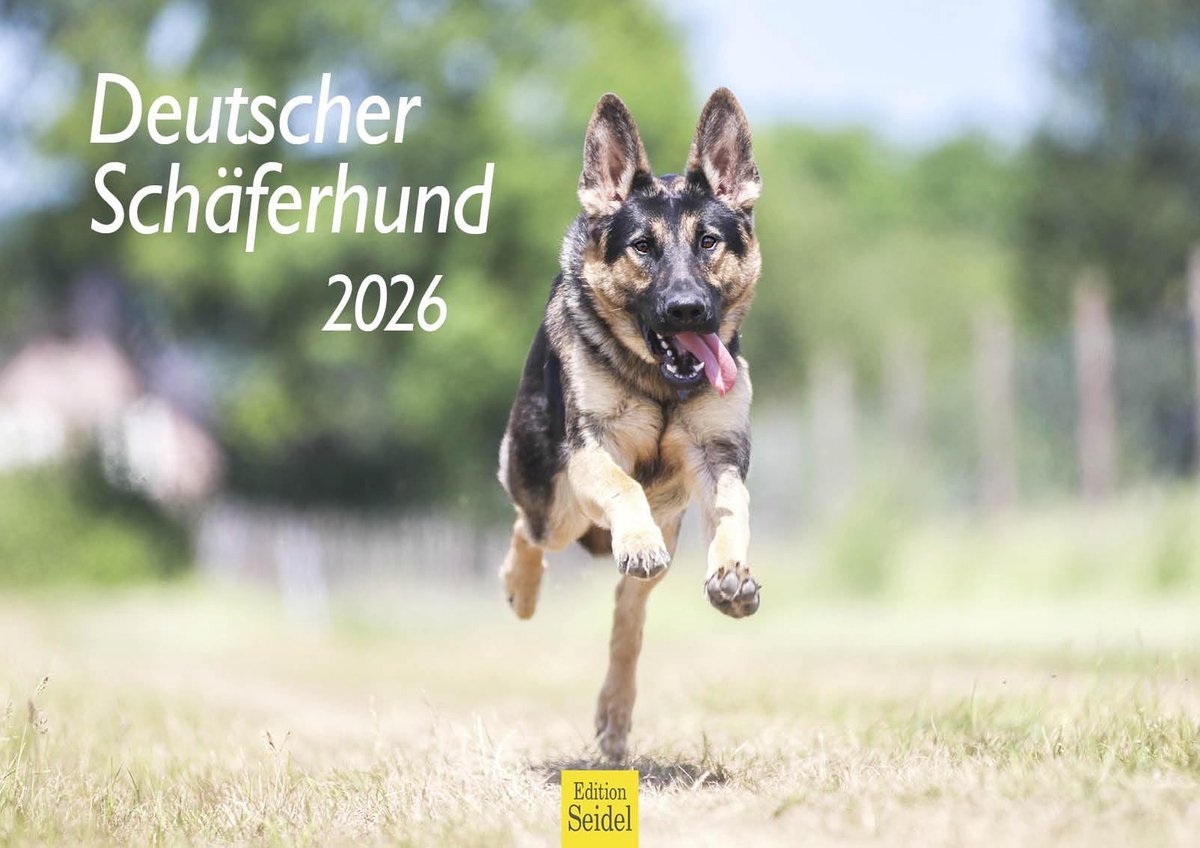 Elzusha - Wandkalender Duitse Herder 2026 - A3 formaat