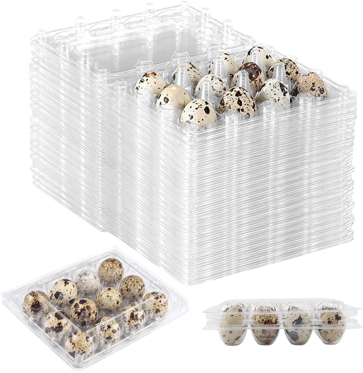 Kwarteleierdozen, 50 stuks, 12 roosters, kwarteleierdozen, kunststof dozen met deksel voor het bewaren van - ShopVlot