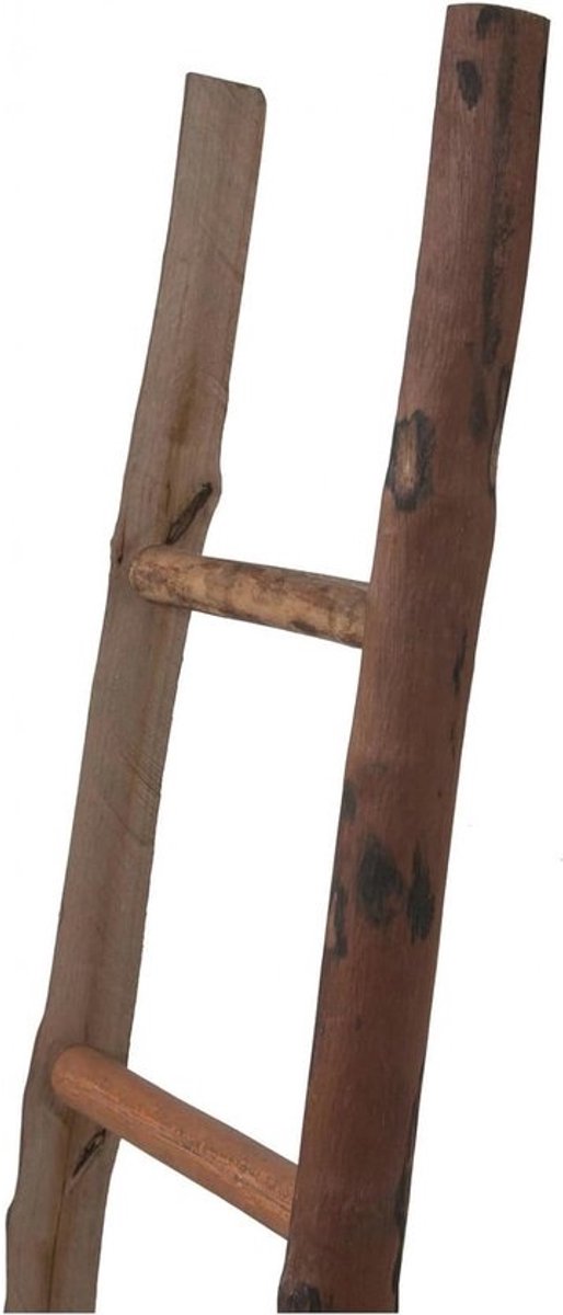 Handdoekhouder en ladder - Voor badkamer - Decoratieve houten ladder - 100 x 9 x 30 cm