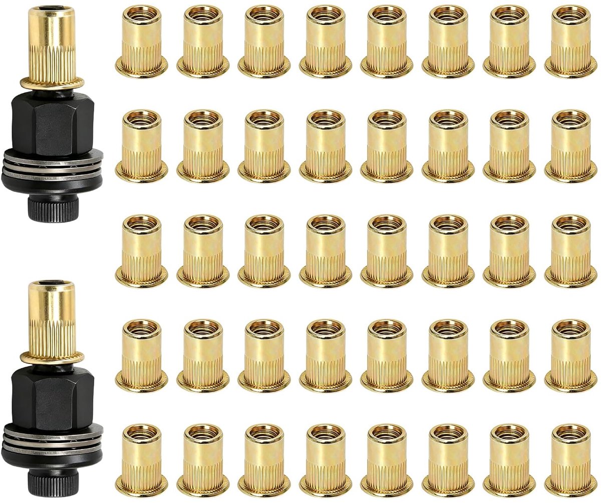 40 stuks M6 klinkmoeren, 2 stuks vervangende doornen voor M6 klinkmoeren, inzetmoer met platte kop van koolstofstaal - ShopVlot