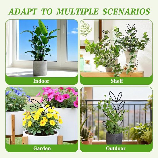 Set van 6 plantsteunen voor klimplanten zoals Monstera en Hoya in de tuin - ideaal voor ondersteuning en groei — afbeelding 4