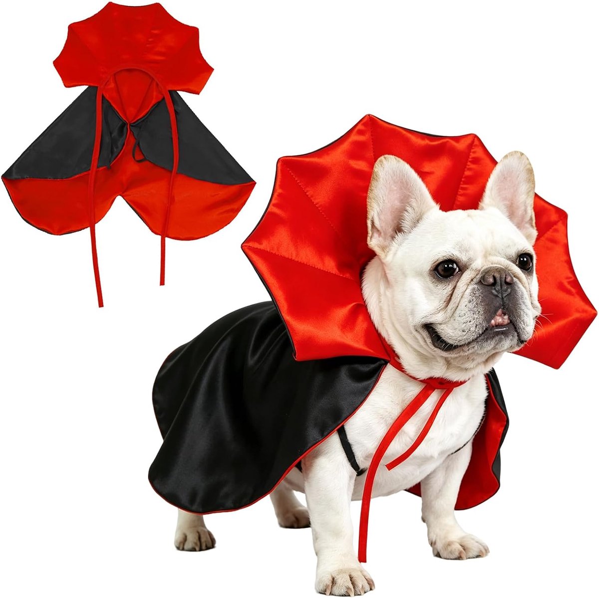 Hondenkostuum Halloween hond (S)