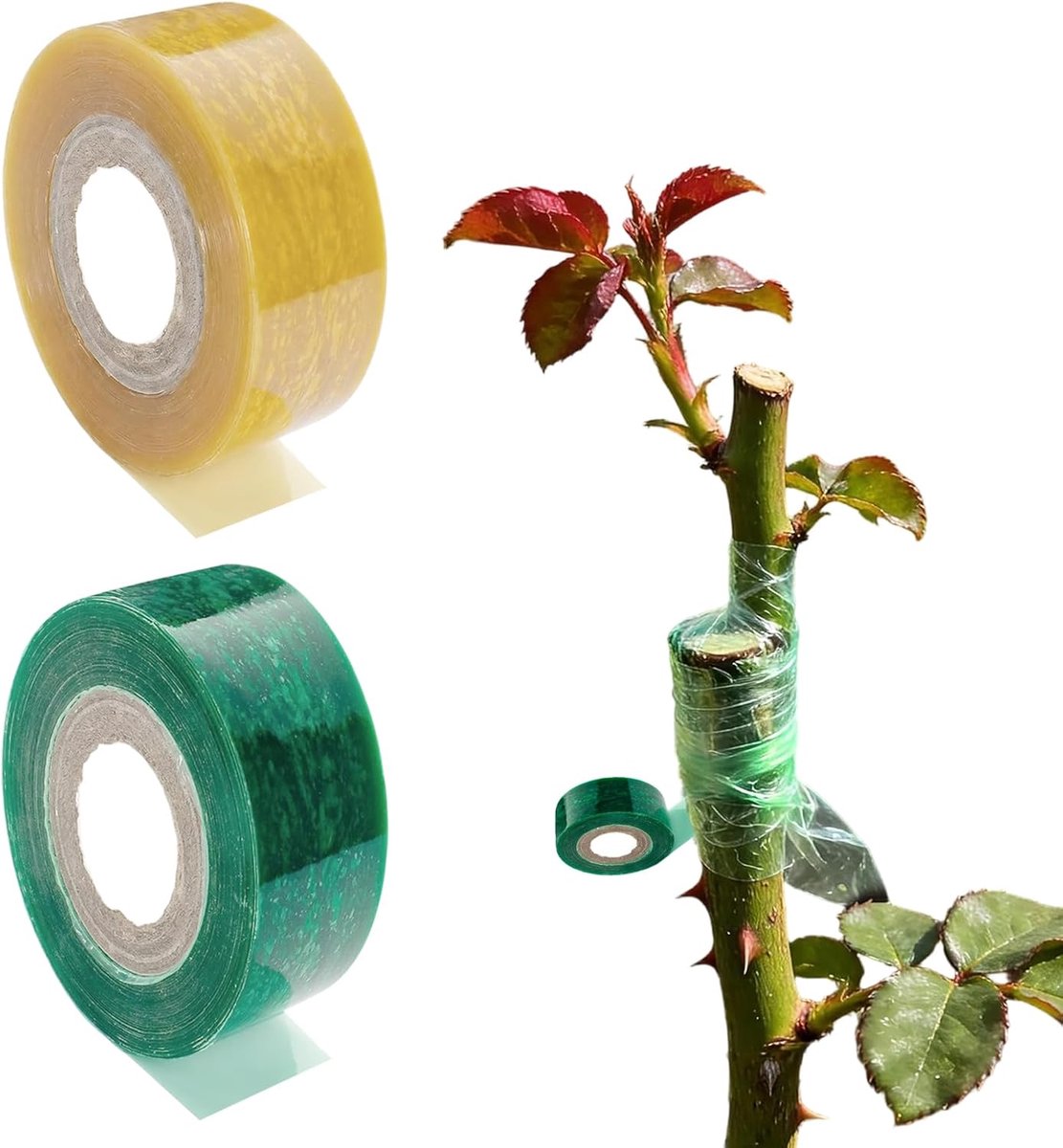 veredelingsband 2 cm - zelfklevend en rekbaar - groen en geel - ideaal voor fruitbomen en planten - ShopVlot