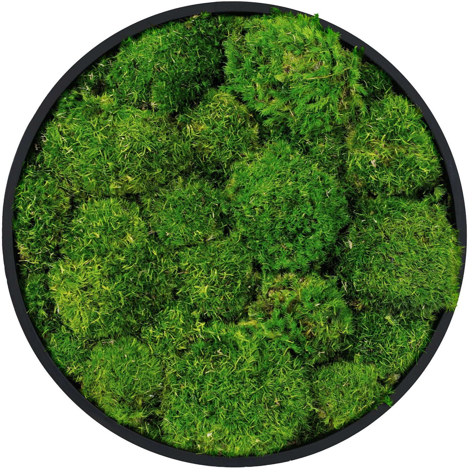 ECD Germany Mosschilderij geconserveerd bolmos rond Ø 30 cm interieur wanddecoratie van natuurlijk 3D mos en houten frame, onderhoudsvrij, decoratieve kunst voor huis en kantoor