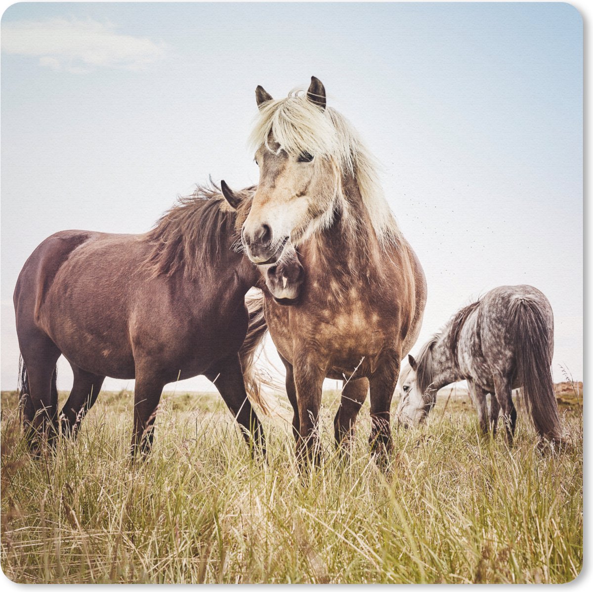 Muismat 20x20 cm - Mousepad Paarden - Gras - Lente - Muismatten