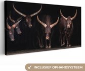Canvas Schilderij Stieren - Dieren - Bruin - Donker - 40x20 cm - Wanddecoratie