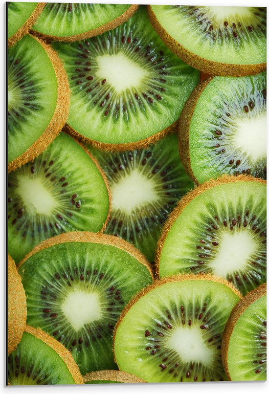 Dibond - Schijfjes Gesneden Kiwi - 40x60 cm Foto op Aluminium (Wanddecoratie van metaal)