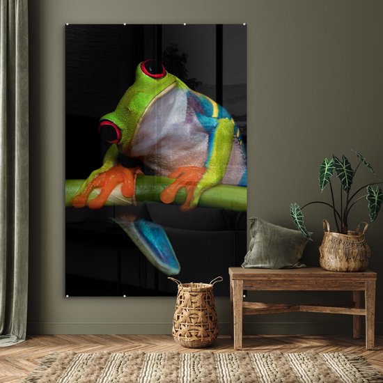 Peinture sur verre - Grenouille - Animaux - Vert - Oranje - Rouge - Photo sur verre - Peinture sur verre - 100x150 cm - Décoration murale