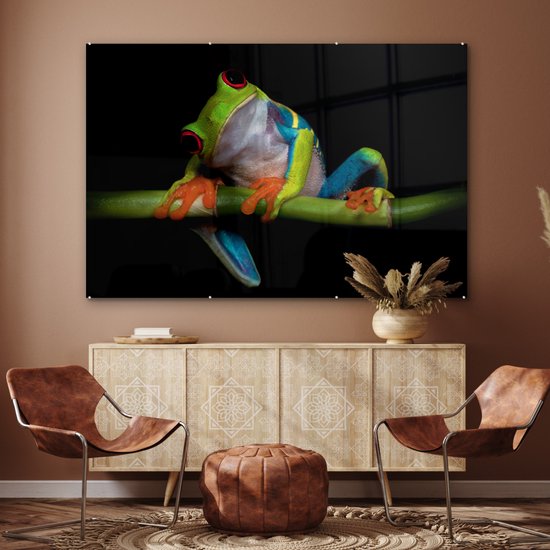 Peinture sur verre - Grenouille - Animaux - Vert - Oranje - Rouge - Photo sur verre - Peinture sur verre - 180x120 cm - Décoration murale