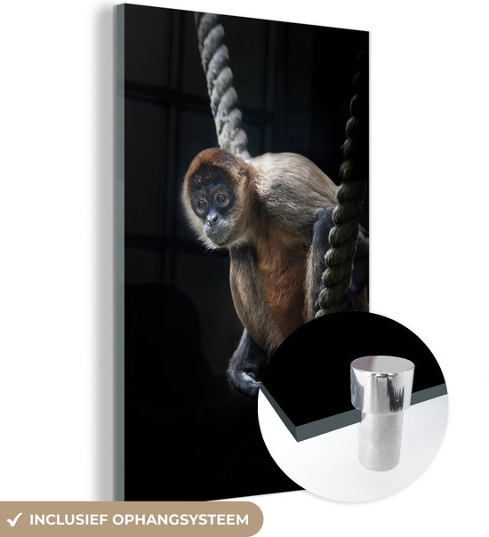 MuchoWow® Peinture sur verre 80x120 cm - Peinture sur verre acrylique - Un singe araignée est assis sur une corde avec un fond noir - Photo sur verre - Peintures