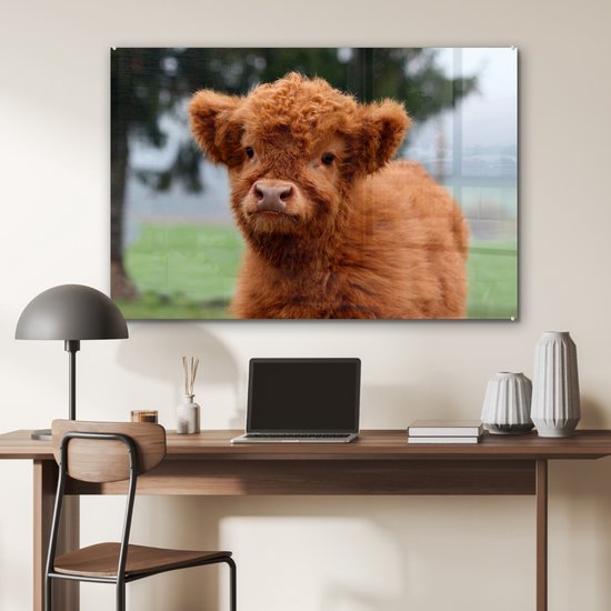 MuchoWow® Peinture sur verre 120x80 cm - Peinture sur verre acrylique - Highlander écossais - Veau - Herbe - Photo sur verre - Peintures