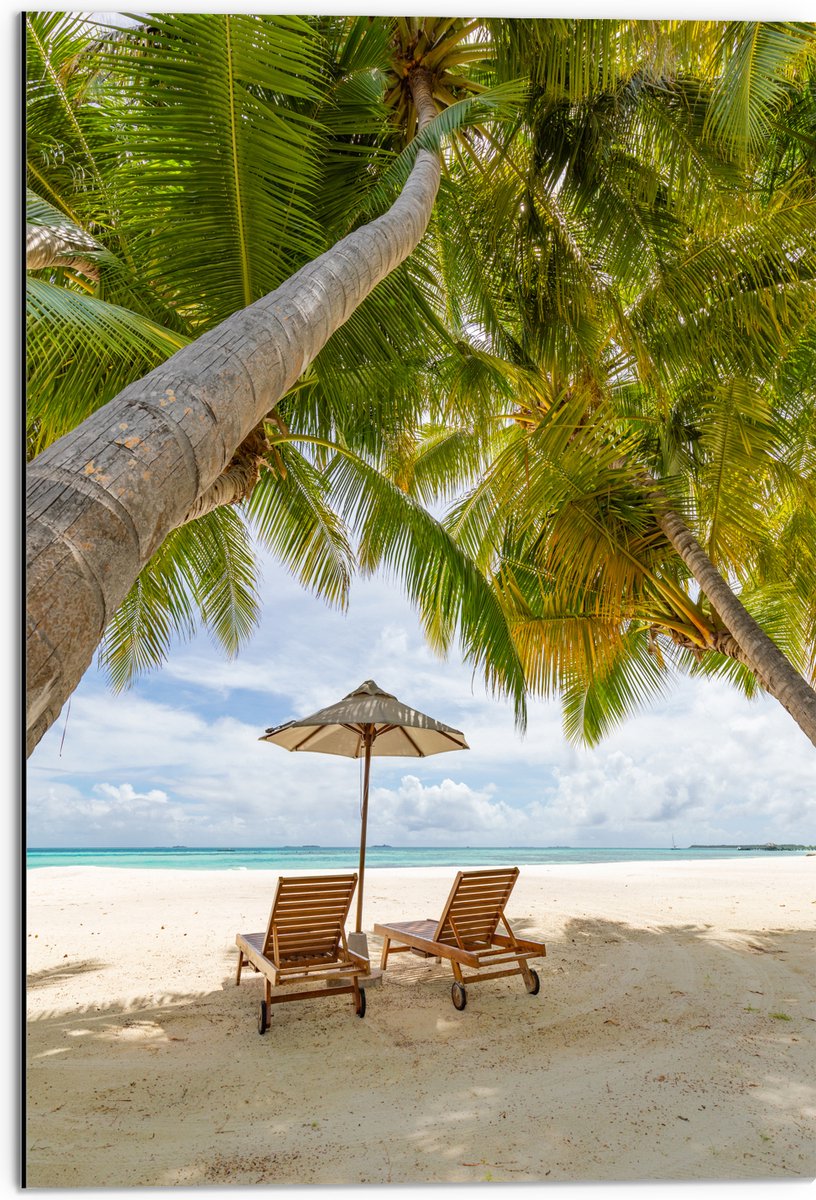 Dibond - Schuingroeiende Palmboom boven Ligbedden en Parasol op het Strand - 50x75 cm Foto