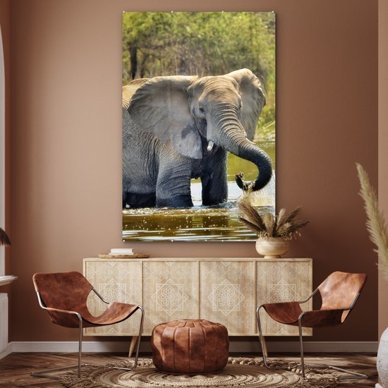 MuchoWow® Peinture sur verre 100x150 cm - Peinture sur verre acrylique - Éléphant - Water - Animaux - Nature - Photo sur verre - Peintures