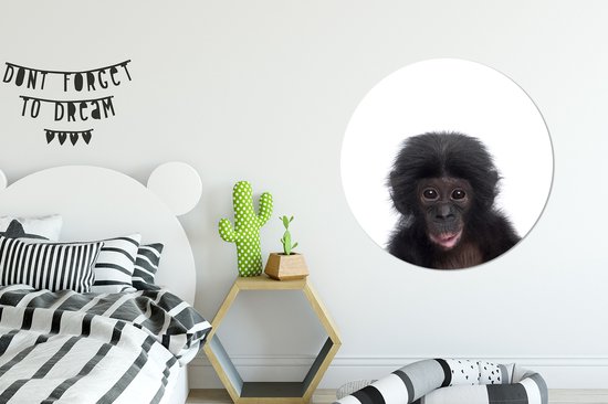 Cercle mural animaux - Cercle mural - Singe - Chimpanzé - Animaux - Enfants - Décoration murale garçons - Décoration murale filles - 90x90 cm - Plastique