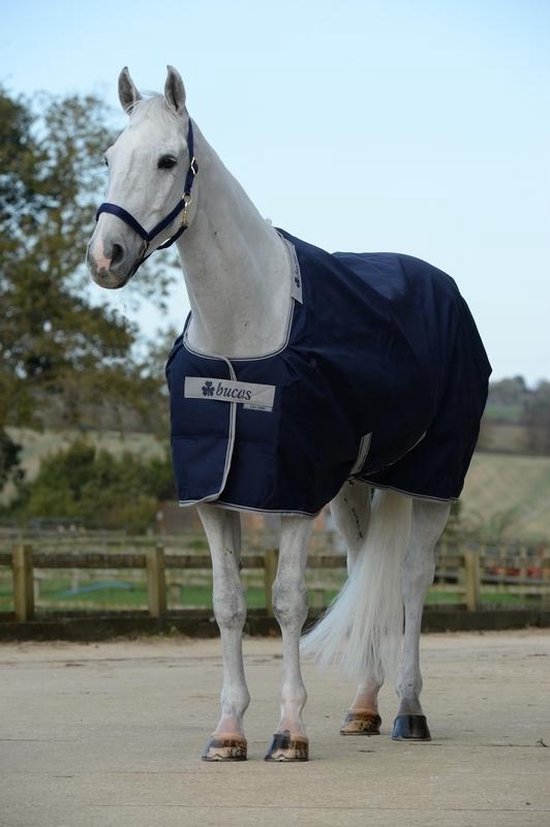 Bucas Celtic Stable Light bol