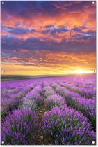 Tuinposter - Bloemen - Lavendel - Zon - Tuindecoratie - 80x120 cm - Tuinschilderij - Schuttingposter - Tuindoek - Buitenposter