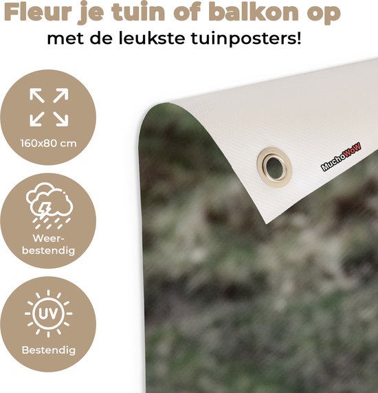 Décoration murale d'extérieur Scottish Highlander - Mousse - Herbe - 160x80 cm - Toile de jardin - Poster extérieur