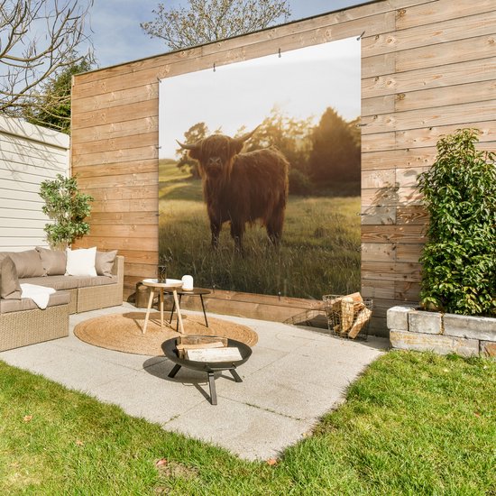 Tuinposter 200x200 cm - Tuindecoratie Schotse hooglander - Gras - Zon - Poster voor in de tuin - Buiten decoratie - Schutting tuinschilderij - Tuindoek muurdecoratie - Wanddecoratie balkondoek