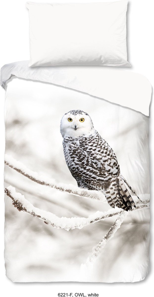 Snowy Owl