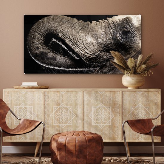 MuchoWow® Peinture sur verre 120x60 cm - Peinture acrylique sur verre - Éléphant - Animaux - Zwart - Nature - Photo sur verre - Peintures
