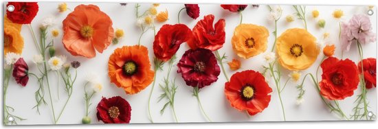 Tuinposter – Rij van Planten en Bloemen in Verschillende Kleuren en Soorten op Wit Oppervlak - 120x40 cm Foto op Tuinposter (wanddecoratie voor buiten en binnen)