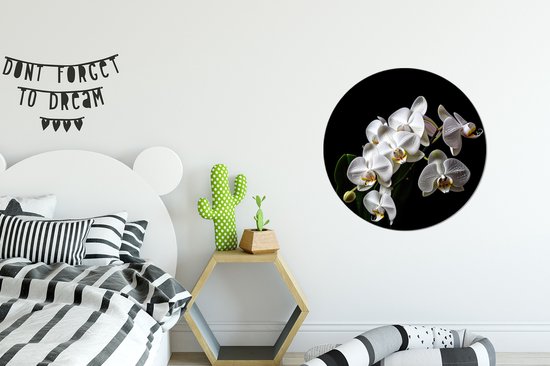 WallCircle - Wandcirkel - Muurcirkel - Orchidee - Bloemen - Wit - Natuur - Zwart - Aluminium - Dibond - ⌀ 60 cm - Binnen en Buiten