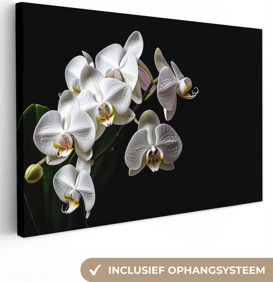 Tableau sur toile Orchidée - Fleurs - Wit - Nature - Zwart - 90x60 cm - Décoration murale
