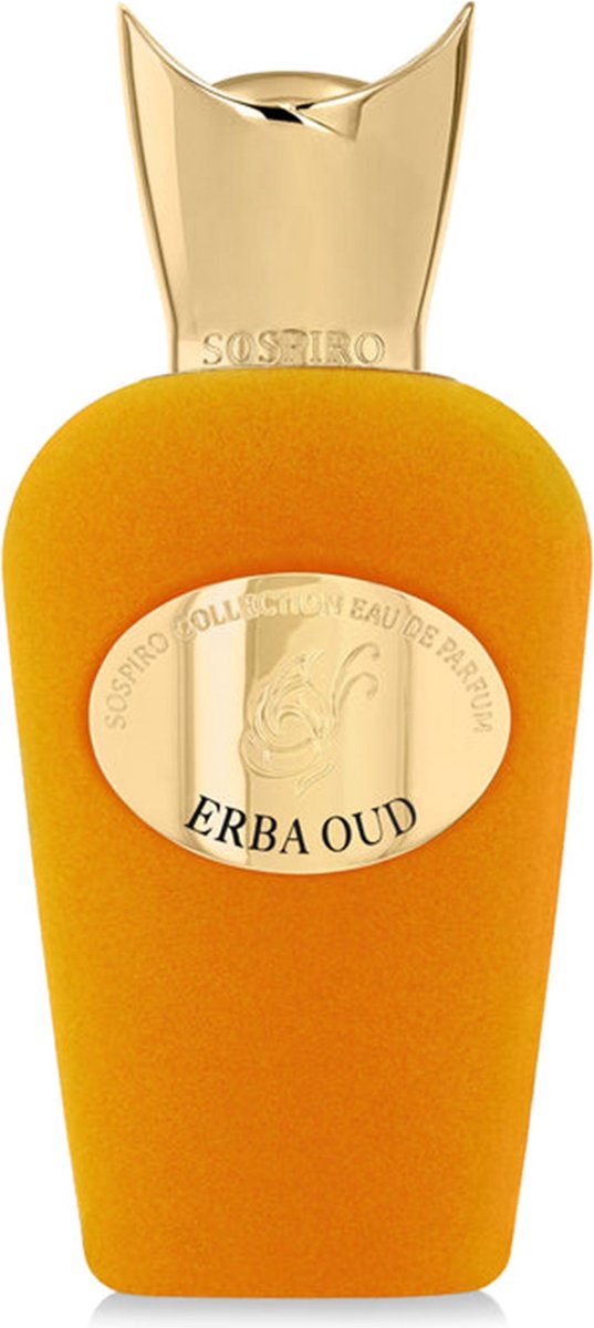 Erba Oud Eau de Parfum 100ml spray