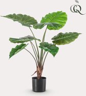 Kunstplant - Alocasia - Olifantsoor - 70 cm