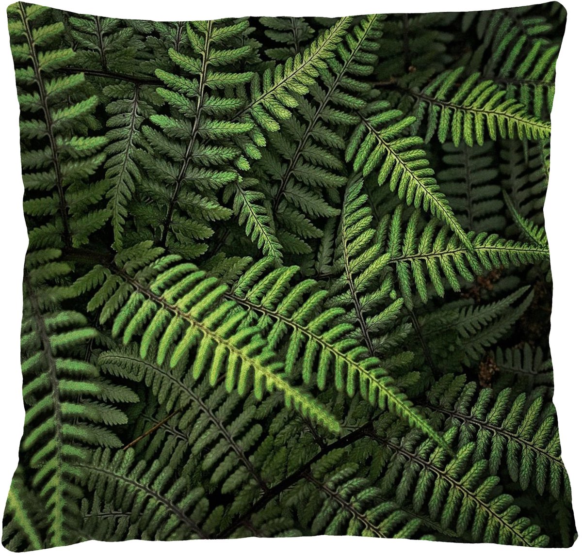Bertoni Sierkussen 40x40 cm met 'Ferns' Print - Zacht Siliconen Vulling