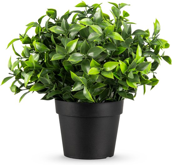 Plante artificielle Photinia en pot 22cm UV - pour l'intérieur et l'extérieur