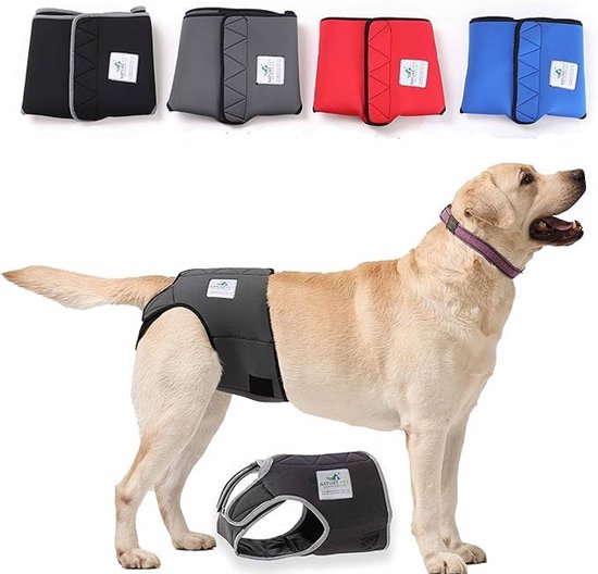 loopsheidbroekje voor hond - Dogs & Co