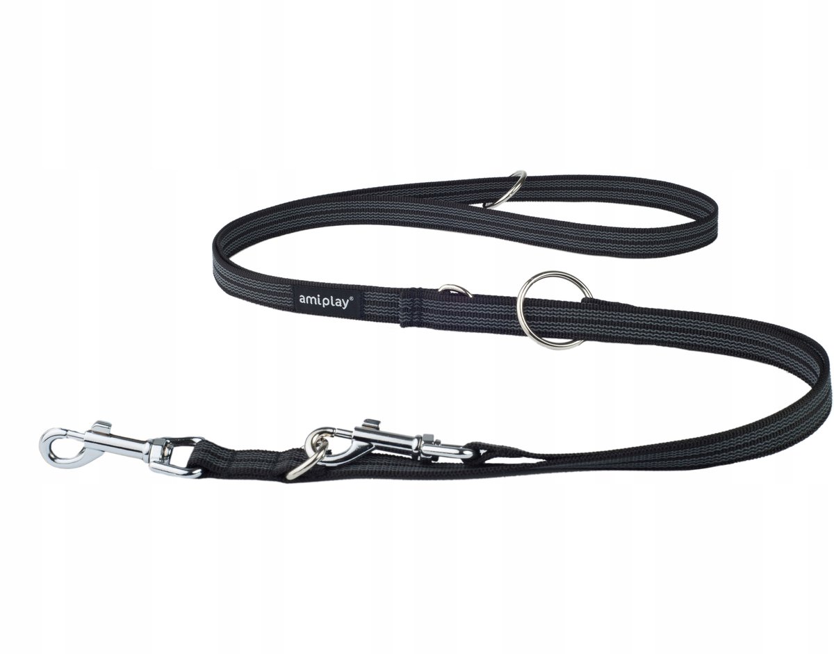 Amiplay rubberen verstelbare hondenriemen 2m L/XL Antislip