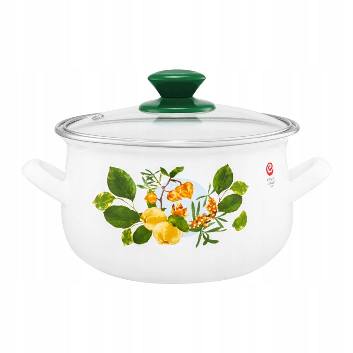 Emmeren Pan 22cm 5L met Deksel - Geschikt voor Inductie