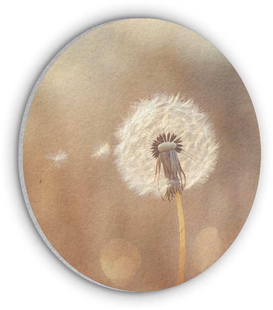 Akoestisch wandpaneel rond 50x50 cm - Vilt schilderij Paardenbloem - Beige - Natuur - Bloem - Ronde akoestische panelen - Geluidsdempende wanddecoratie - Geluidsisolatie wandcirkel - Muurdecoratie geluidspanelen