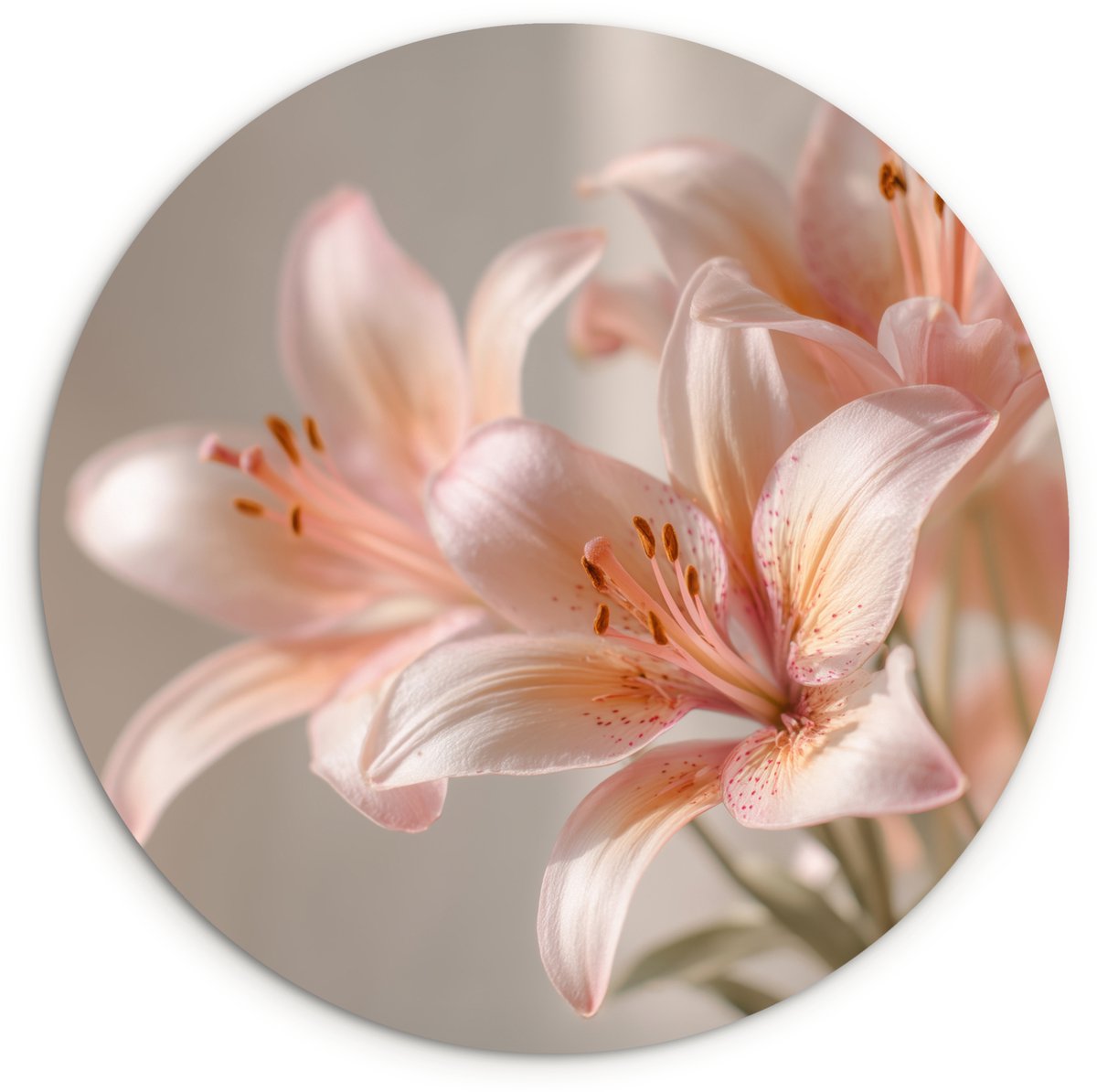 WallCircle Wandcirkel 120x120 cm - Muurcirkel Lelies - Meeldraden - Roze - Wazig - Muurdecoratie woonkamer - Wanddecoratie slaapkamer - Kamer decoratie accessoires - Ronde schilderijen