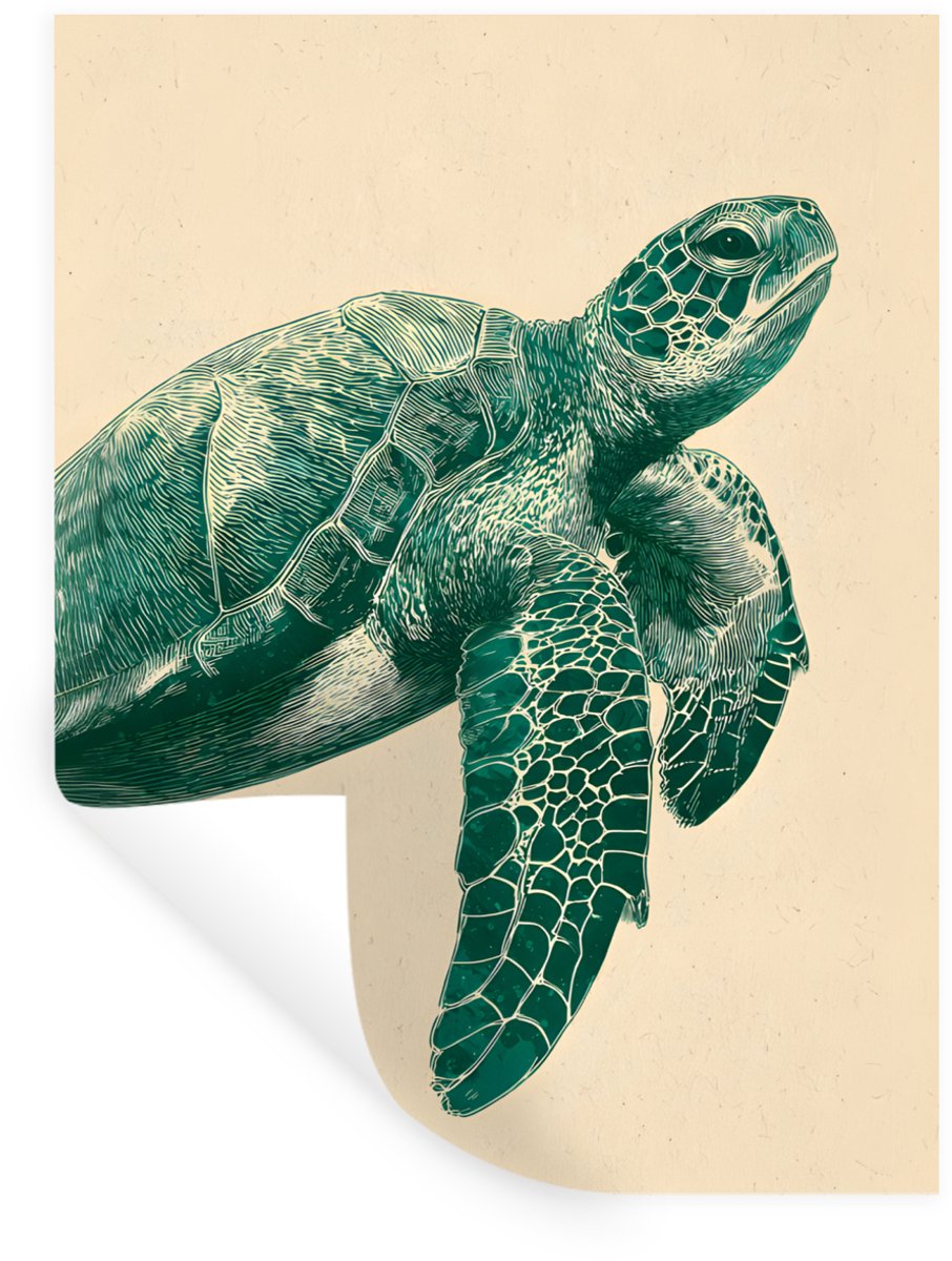 Muurstickers - Sticker Folie - Schildpad - Sierlijk - Groen - Schild - 120x160 cm - Plakfo