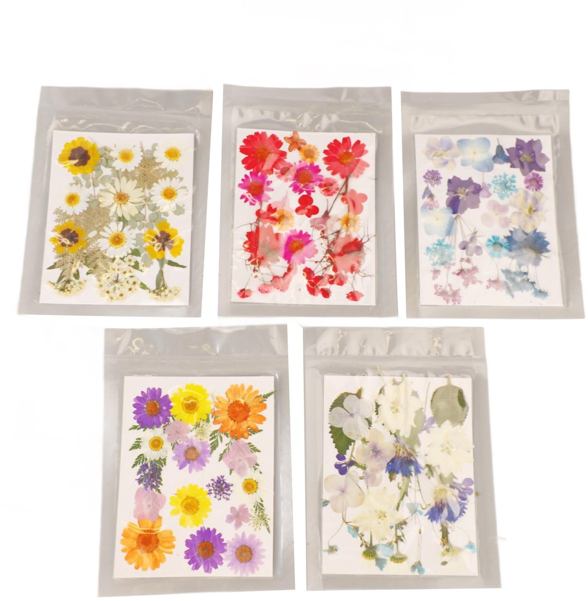 5 Zakjes Geperste Bloemen - Droogbloemenset voor Hars - 100 Stuk Assortiment