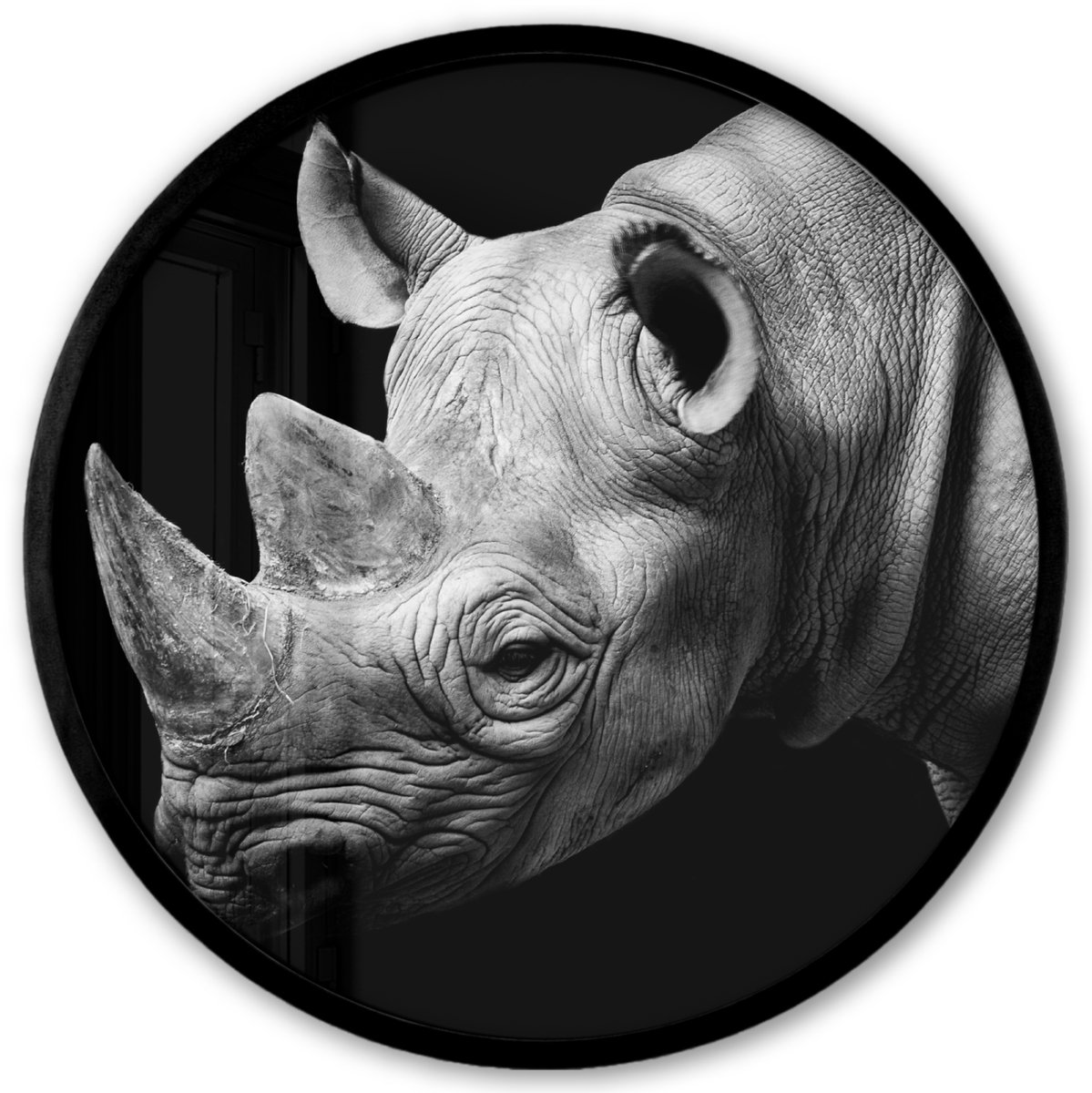 FrameYourWall Poster in lijst Rond - Fotolijst 40x40 cm - Posters - Dieren - Neushoorn - Zwart - Wit - Portret - Ronde posterlijst zwart - Decoratie - Wanddecoratie woonkamer - Muurdecoratie slaapkamer Multicolor