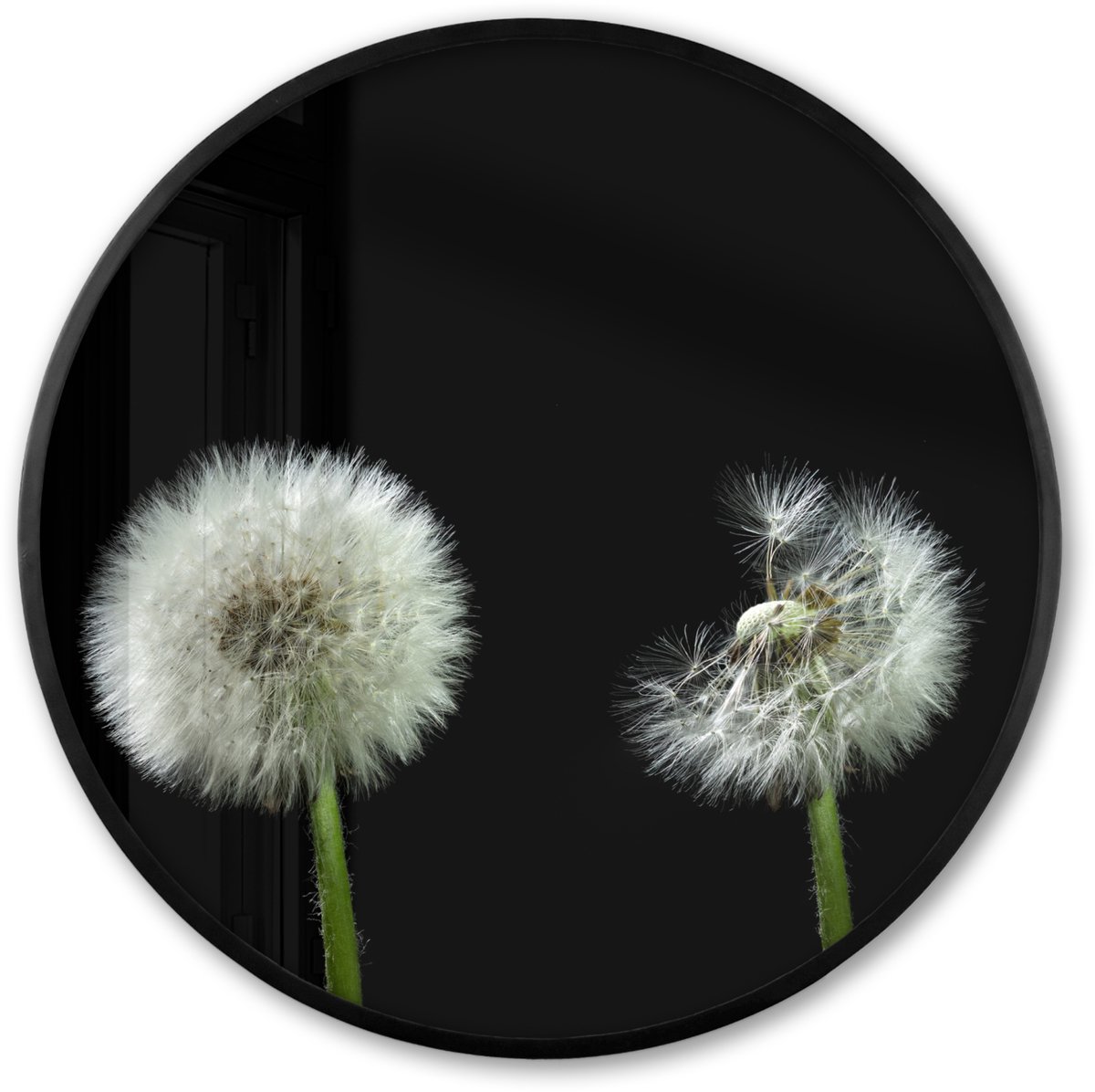 FrameYourWall Poster in lijst Rond - Fotolijst 60x60 cm - Posters - Paardenbloem - Planten - Bloemen - Donker - Stilleven - Ronde posterlijst zwart - Decoratie - Wanddecoratie woonkamer - Muurdecoratie slaapkamer Multicolor
