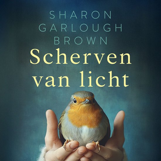 Scherven van licht - cover
