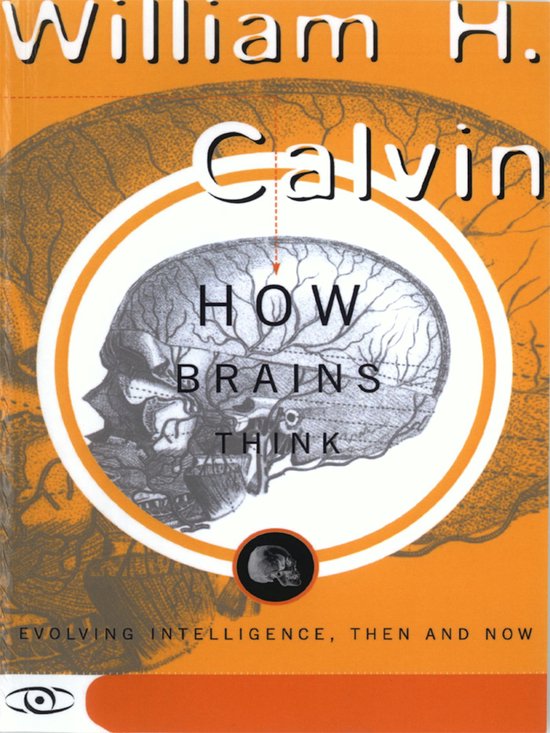 How Brains Think - cover
