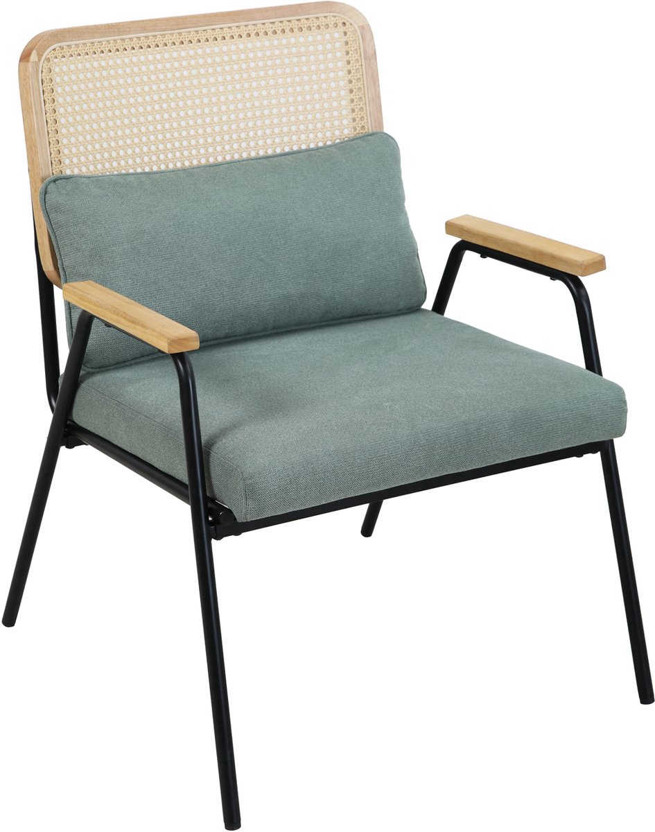 SVITA THEA loungestoel - rotan stoel retro stoel rotan groen