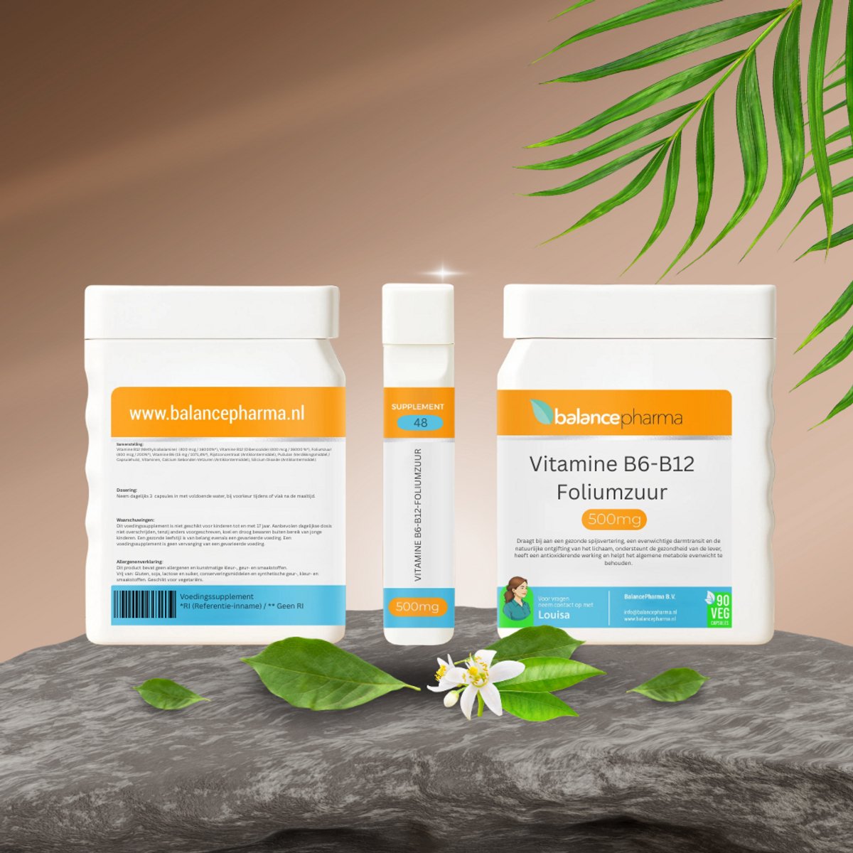 Balancepharma Supplements 48 Vitamine B6-B12-foliumzuur 90 Vegetarische capsules