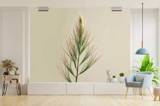 Behang - Fotobehang Dennentak - Naaldvormige bladeren - Lichtgroen - Breedte 350 cm x hoogte 260 cm