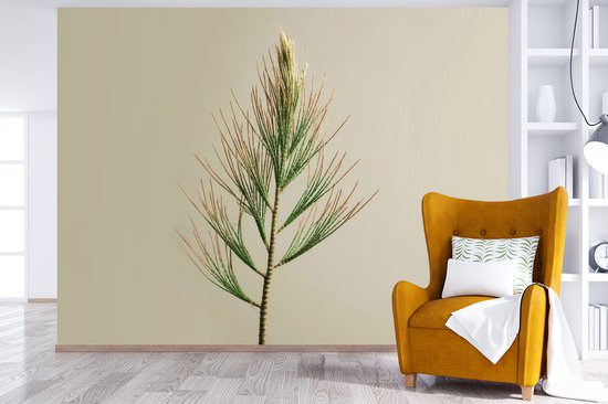 Behang - Fotobehang Dennentak - Naaldvormige bladeren - Lichtgroen - Breedte 350 cm x hoogte 260 cm