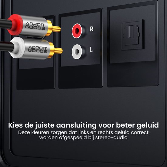 Twee RCA-stekkers met rode en witte markering, aangesloten op een apparaat met R en L aansluitingen.